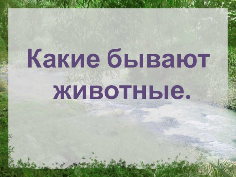 Какие бывают животные презентация окружающий мир 2 класс презентация