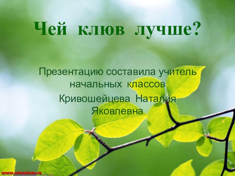 Чей клюв лучше