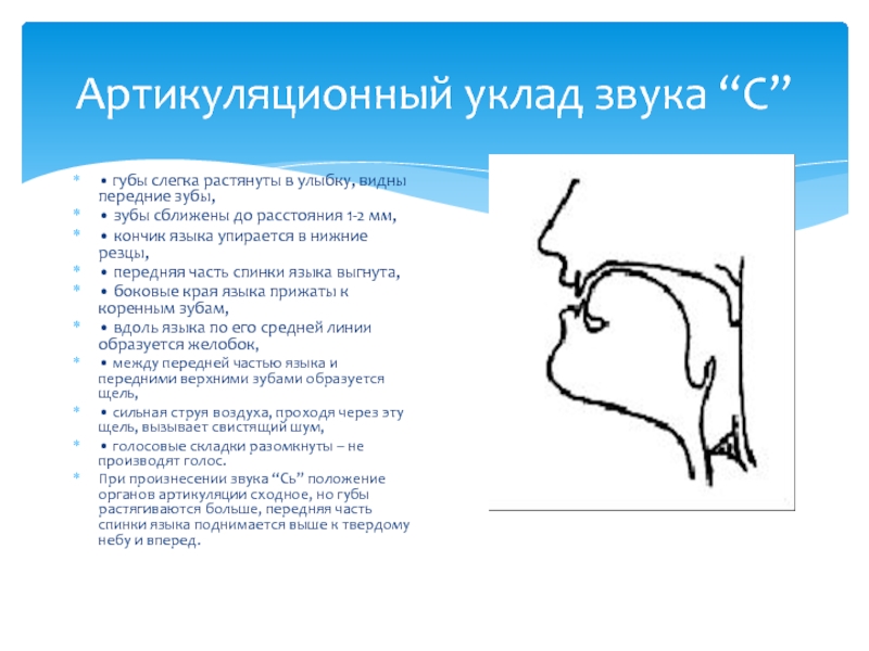 Артикуляционные уклады схемы