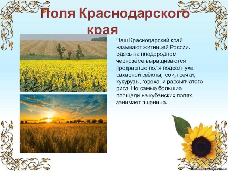 Проект про краснодарский край