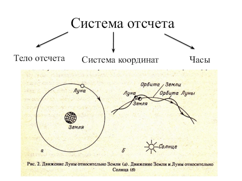 Система отсчета состоит из