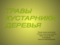 Презентация .Зеленые тропинки.А.А.Плешаков.Тема Травы.Кустарники.Деревья
