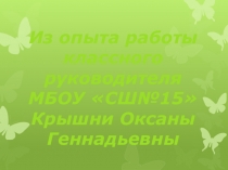 Презентация  Работа классного руководителя
