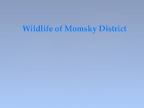 Презентация Живая природа Момского района (5 класс)