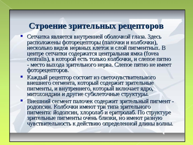 Документ с каким именем является презентацией