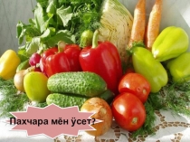 ПРЕЗЕНТАЦИЯ ПО ЧУВАШСКОМУ ЯЗЫКУ НА ТЕМУ ОВОЩИ, 1 класс