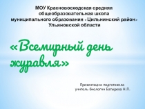 Презентация по биологии на тему Экология
