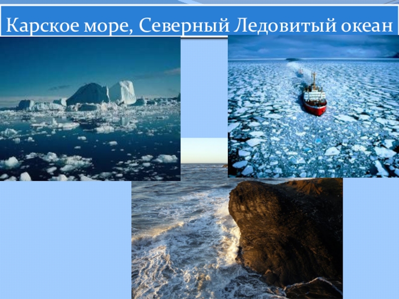 Карское море презентация