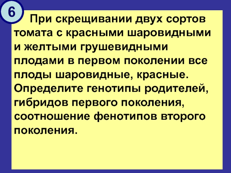 При скрещивании томатов. При скрещивании двух сортов томата с красными шаровидными и желтыми. При скрещивании двух сортов томата. При скрещивании двух сортов томата с красными шаровидными. При скрещивании томатов с шаровидными плодами.