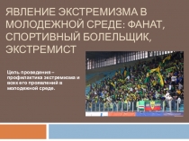 Профилактика экстремизма в молодежной среде