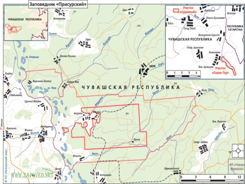 Присурский заповедник презентация