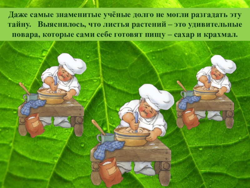 Даже класс. Растения удивительные повара. Удивительные повара растения 3 класс. Растения удивительные повара 3 класс презентация. Удивительные повара растения 3 класс перспектива презентация.