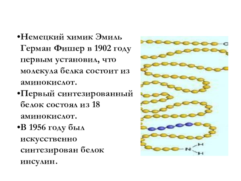 Эмиль герман фишер презентация