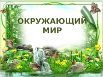 Презентация по окружающему миру на тему  Охрана животных (3 класс)