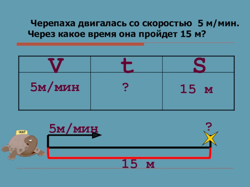 Скорость черепахи 5 м мин. Задачи на движение черепаха. Черепаха движется со скоростью. Скорость черепахи м/мин. Черепаха двигалась со скоростью 5 м/мин.