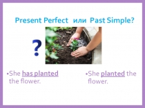 Презентация по английскому языку для 7 класса на тему: Present Perfect and Past Simple