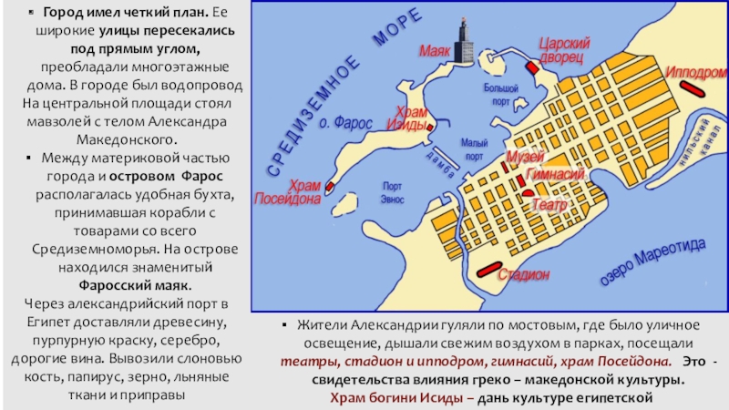 План в александрии египетской