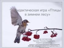 Дидактическая игра Птицы в зимнем лесу