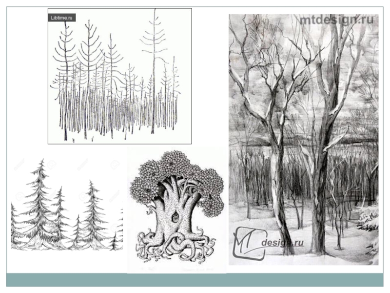 Линия как средство выражения характер линий изображение ветки с характером