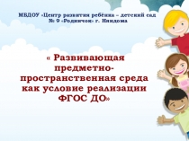 Презентация Развивающая предметно- пространственная среда ДОУ как условие реализации ФГОС ДО