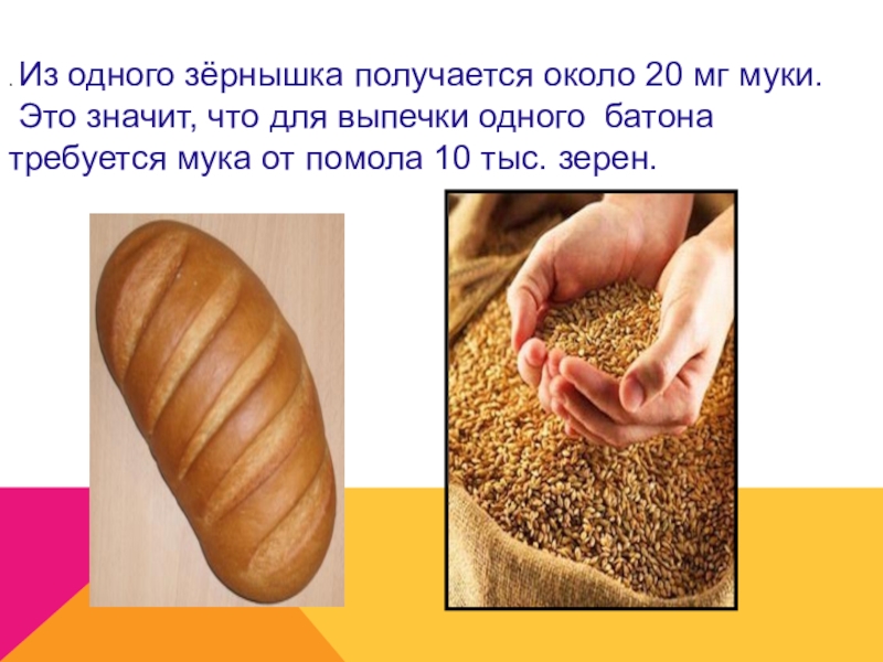 Производитель муки армения. Мука. Мука. Мука для презентации. Хлеб к нам на стол пришел.