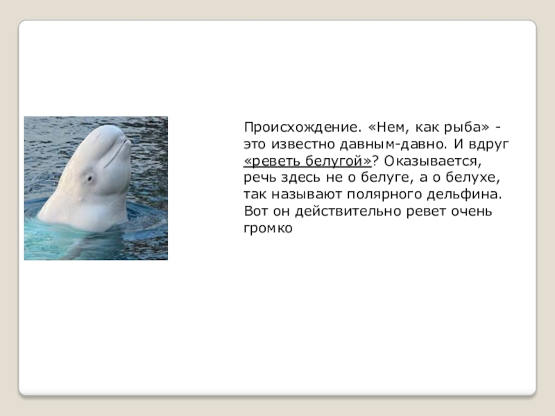 Объясните фразеологизм как рыба в воде. Реветь белугой фразеологизм. Нем как рыба. Реветь белугой происхождение. Реветь белугой происхождение фразеологизма.