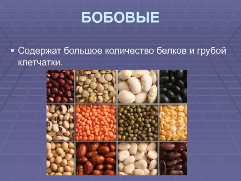 Бобовые список с фото продукты