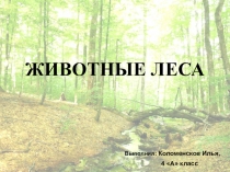 Презентация по окружающему миру 3 класс Животные леса