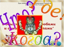 Презентация игры Что? Где? Когда? по математике на тему Обыкновенные дроби