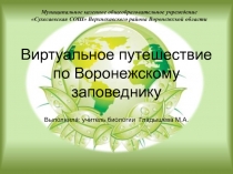 Виртуальное путешествие по Воронежскому заповеднику