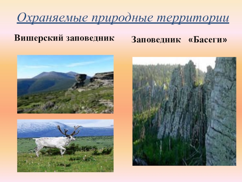 Охраняемые территории пермского края презентация