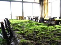 Презентация по литературе Мотивы экологической катастрофы в повести братьев Стругацких Пикник на обочине