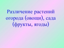 Различение растений огорода (овощи), сада (фрукты, ягоды)