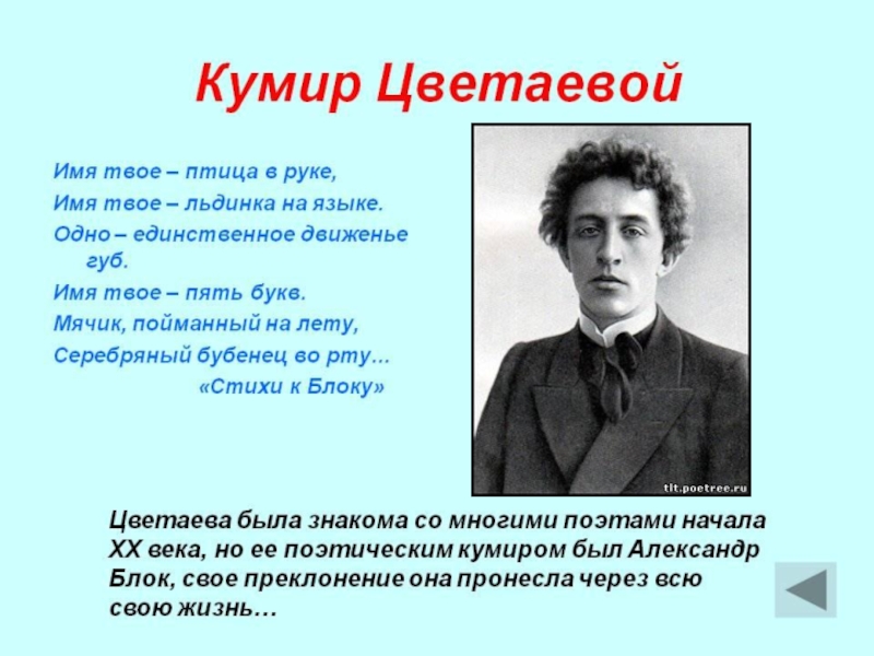 Имя твое птица. Цветаева имя твое птица. Имя твое Цветаева. Стих Цветаевой имя твое. Стихи Цветаевой имя твое птица.