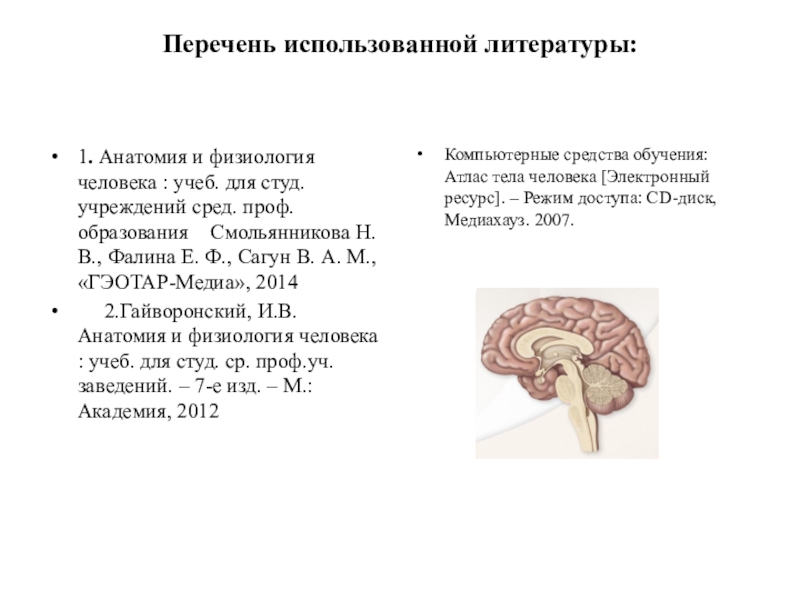 Физиология головного мозга презентация