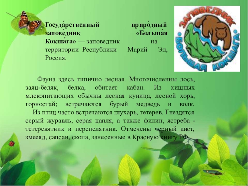 книжная выставка ко дню заповедников и национальных парков. заповедник мероприятия. день национальных парков и заповедников вектор. день заповедников выставка. заповедник мероприятия.