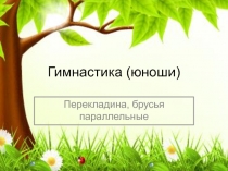 Презентация по гимнастике юноши 8-9 класс (наглядность : перекладина и параллельные брусья по учебнику Ляха)