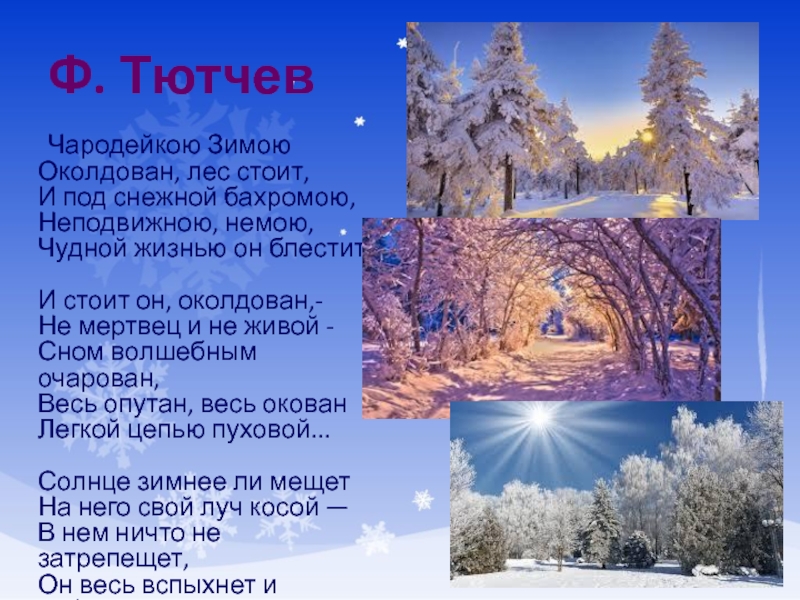 Ф. Тютчев	Чародейкою Зимою Околдован, лес стоит, И под снежной бахромою, Неподвижною, немою, Чудной жизнью он блестит.