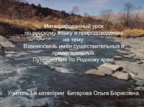 Презентация к уроку Взаимосвязь имен существительных и прилагательных.