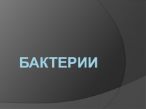 Презентация по биологии на тему:  Бактерии (5 класс)