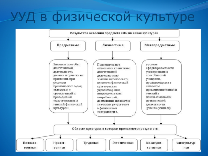 Освоение предмета. Формы контроля на уроке физкультуры. Формы контроля на уроках физической культуры. Виды контроля на уроке физкультуры. Виды формы контроля на уроках физкультуры.