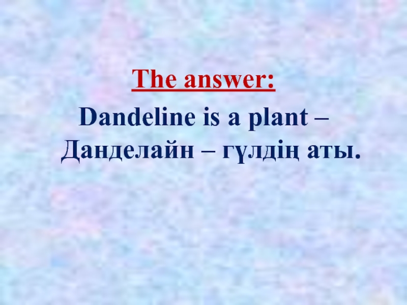 The answer:Dandeline is a plant – Данделайн – гүлдің аты.