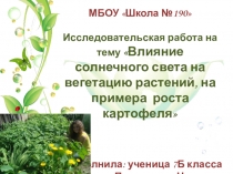 Исследовательская работа Влияние солнечного света на вегетацию растений, на примере роста картофеля
