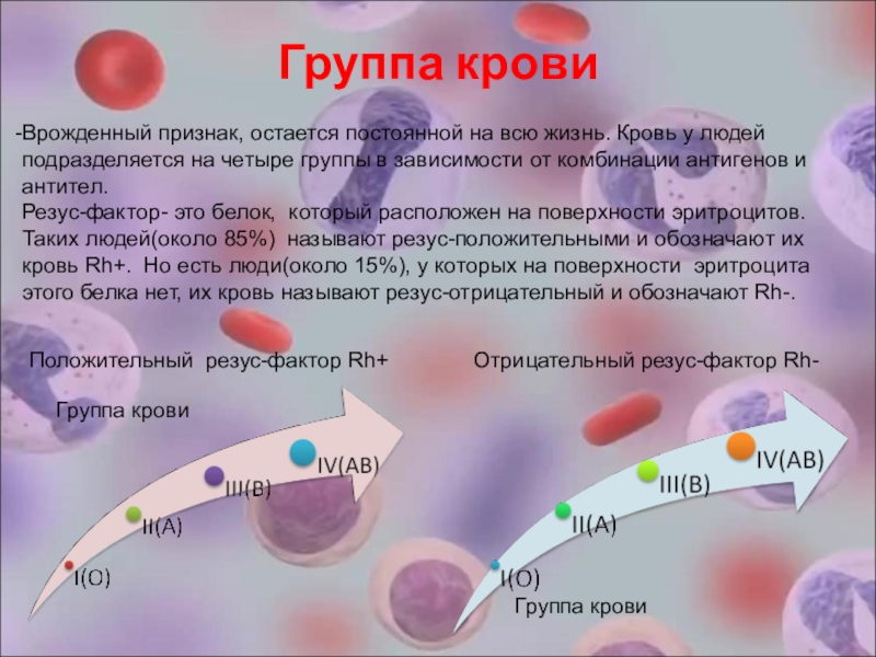 Презентация на тему группа крови