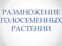Презентация к уроку по биологии в 6 классе по теме Голосемянные растения