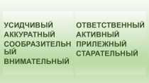 Презентация к уроку русского языка на тему Согласование прилагательных и существительных в роде и числе 6 класс VIII вида