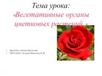 Презентация по биологии на тему Вегетативные органы растений(6 кл)
