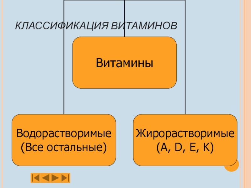 Классификация витаминов картинка