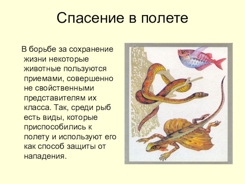 совершенно не свойственны