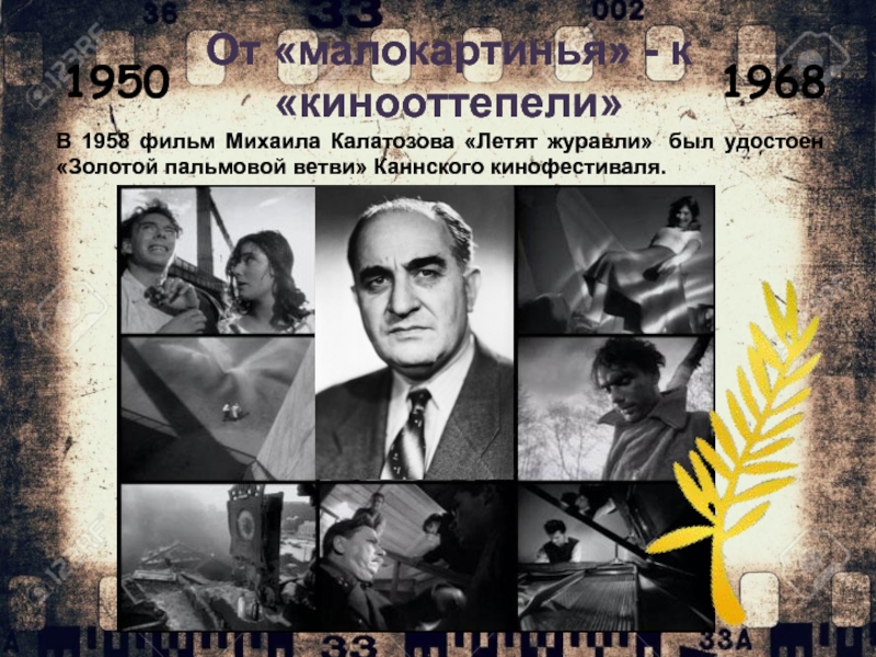 Калатозов режиссер национальность. Михаил Калатозов Режиссер. Михаил Калатозов (1903-1973). Летят Журавли" (Режиссер м. к. Калатозов, 1957). Михаил Калатозов летят Журавли.